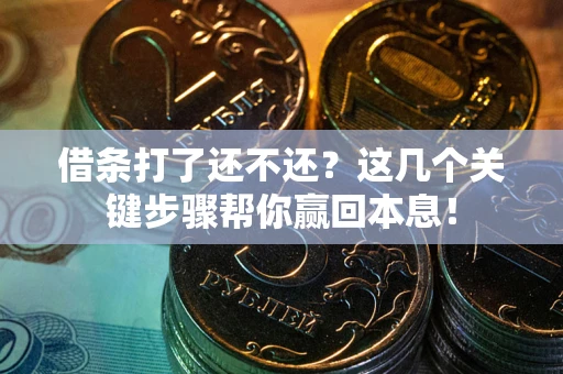 武汉借条打了还不还？这几个关键步骤帮你赢回本息！