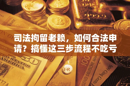 武汉司法拘留老赖，如何合法申请？搞懂这三步流程不吃亏！