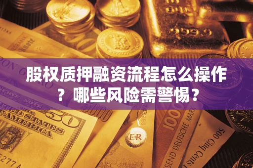 武汉股权质押融资流程怎么操作？哪些风险需警惕？