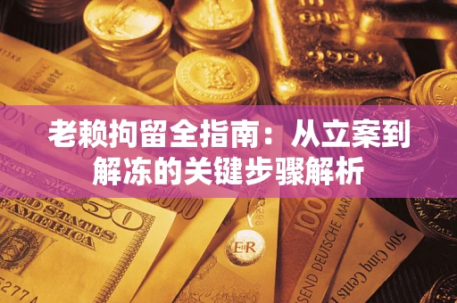 武汉老赖拘留全指南：从立案到解冻的关键步骤解析