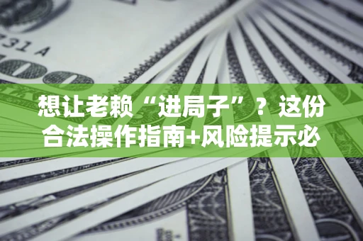 武汉想让老赖“进局子”？这份合法操作指南+风险提示必须看！