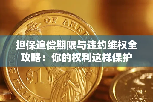 武汉担保追偿期限与违约维权全攻略：你的权利这样保护